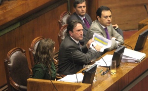 2014-04-17-ministro-Gomez-por-informe-comision-investigadora-Sename-CAMARA-1